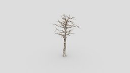1- Maple tree, maple, unreal, creative, chinese, 3d-model