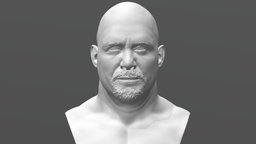 Stone Cold bust for 3D printing