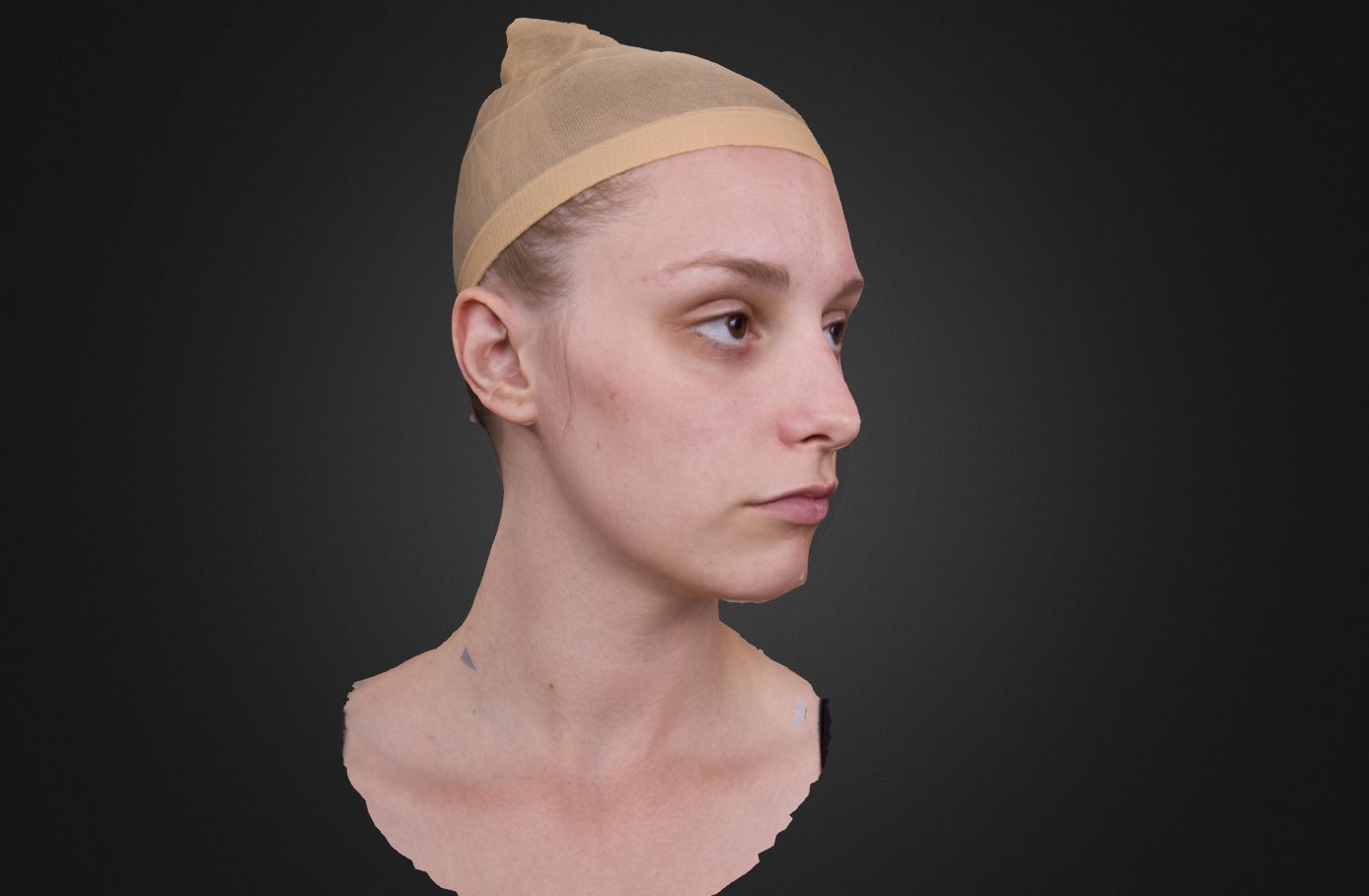 Taylor HeadTurn 2 - 3D model by Anatomy Next (@a4s) 3d model