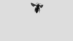Animated Bee Flying Landing bee, 3d, animal, rigged