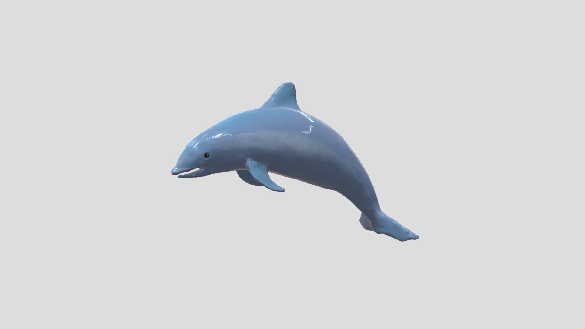 Delfin - Download Free 3D model by Hanbraa 3d model