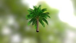 High poly palm tree : Elais Guineensis