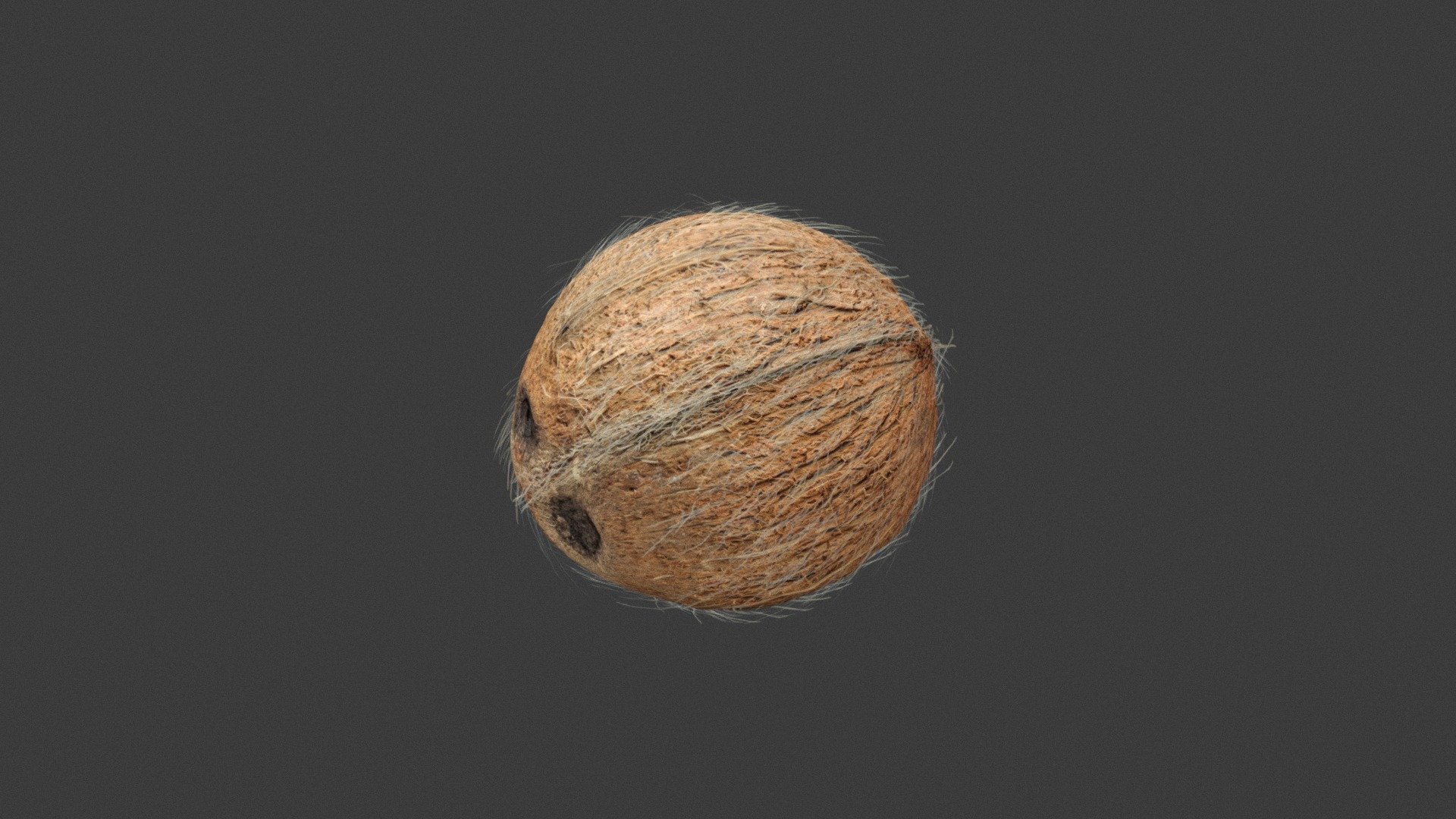 3d model of coconut fruit - coconut - Buy Royalty Free 3D model by aramus88 3d model