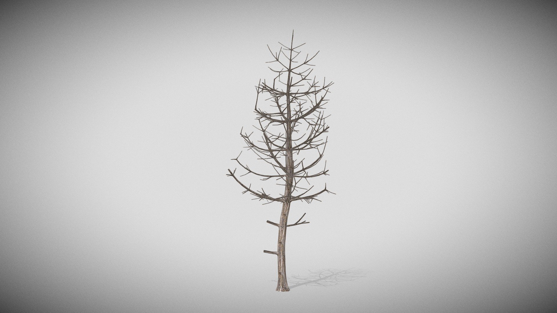 Model of dead tree 3d model