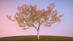 Plum Trees 8m Autumn tree, plant, garden, baum, nature, game-ready, blender-3d, autumn, seasons, plum, herbst, vis-all-3d, 3dhaupt, software-service-john-gmbh, low-poly, lowpoly, leaves