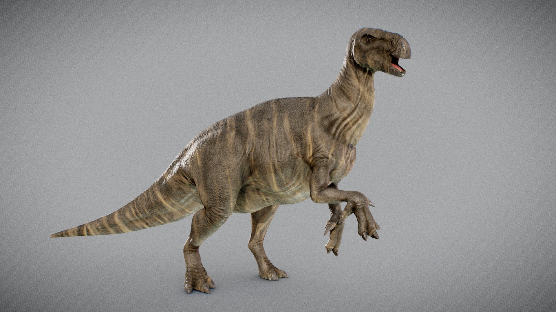 This Iguanodon pack contains:
-One ready to rig neutral posed model
-Three dynamic poses
-All texture maps + 4 color variations - Iguanodon - Buy Royalty Free 3D model by Andrea Di Natale (@daenar.dna) 3d model