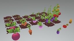 Crop Stages plant, farm, farming, vegetable