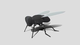 Low Poly Cartoon Fly insect, bug, flatshaded, flies, diptera, cartoon, lowpoly, fly, animal, stylized
