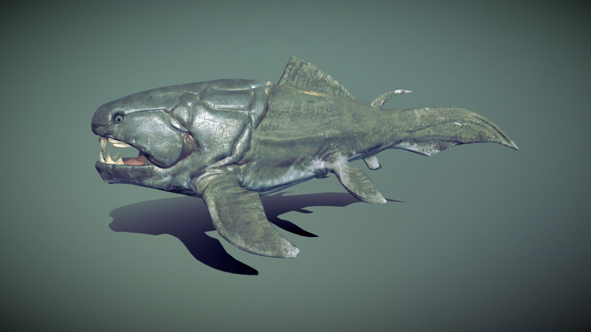 The Dunkleosteus 3d model was made in blender 2.9 and painted in substance painter , is subdivison ready and have a clean topology , without subdivision it haves 5234 verts and with subdivision 15006 verts , It is fully rigged with basic bones , it have a total of 4 animations : idle , swim ,speed up  and bite.

The texture comes with 4k, 2k and 1k textures  : diffuse , normal , metallic, roughness ,height/displacement and AO maps , baked normal map from a high poly model and place it in the low poly model , uv wrapped it manually .

Eyes ,teeth and tongue , all is in one texture. 

Comes with blend file and the textures attached in rar 3d model