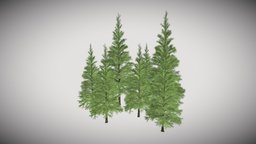 Coniferous Group tree, forest, pine, vegetation, unwrap, coniferous, pbr
