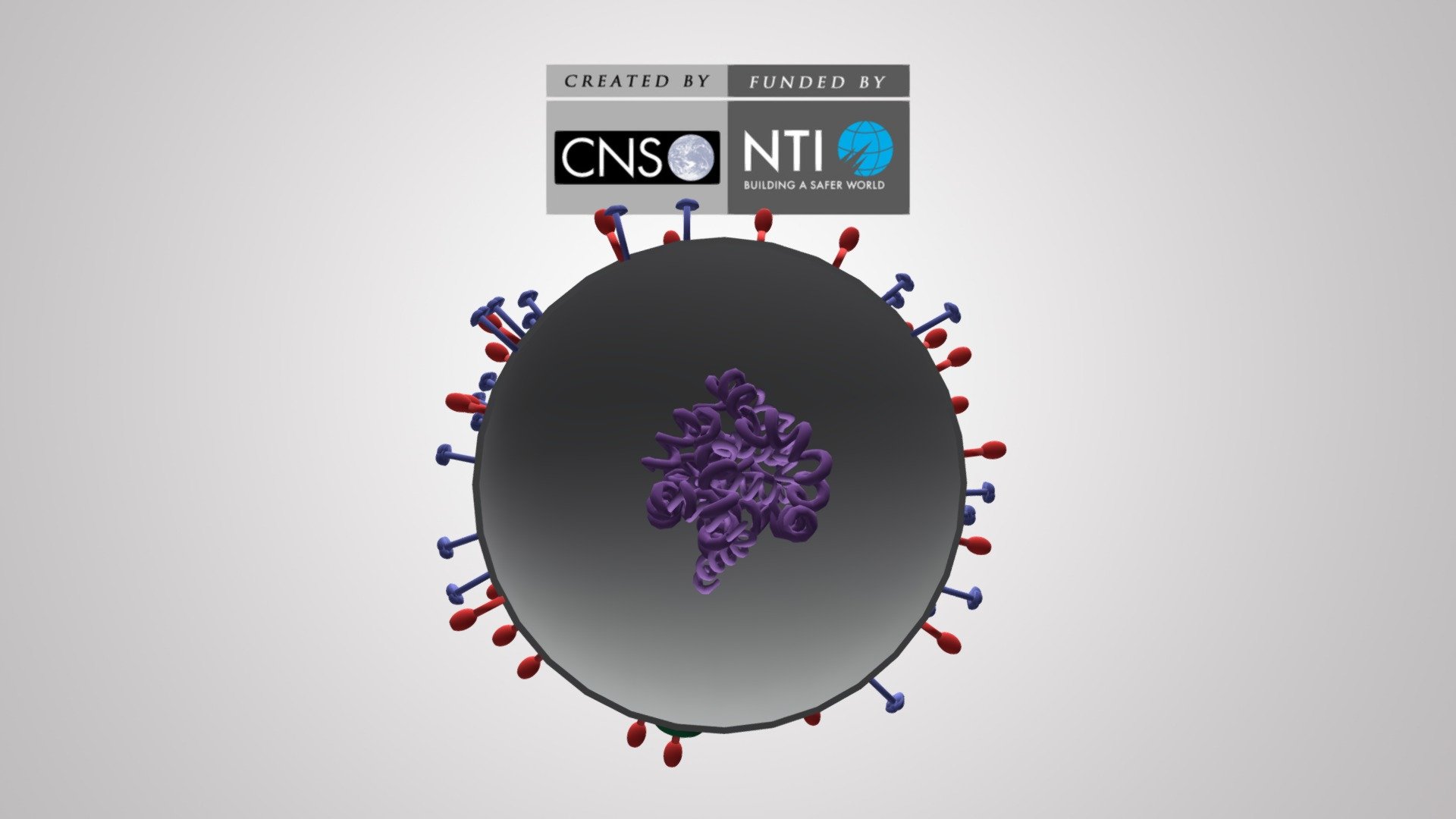 H1N1 Flu Virus - 3D model by JamesMartinCNS 3d model