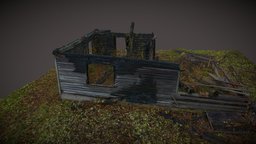 Old burned wooden house