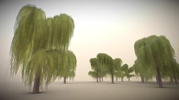 Silberweide (Test 5) tree, baum, 3dhaupt, test, baukasten, silberweide
