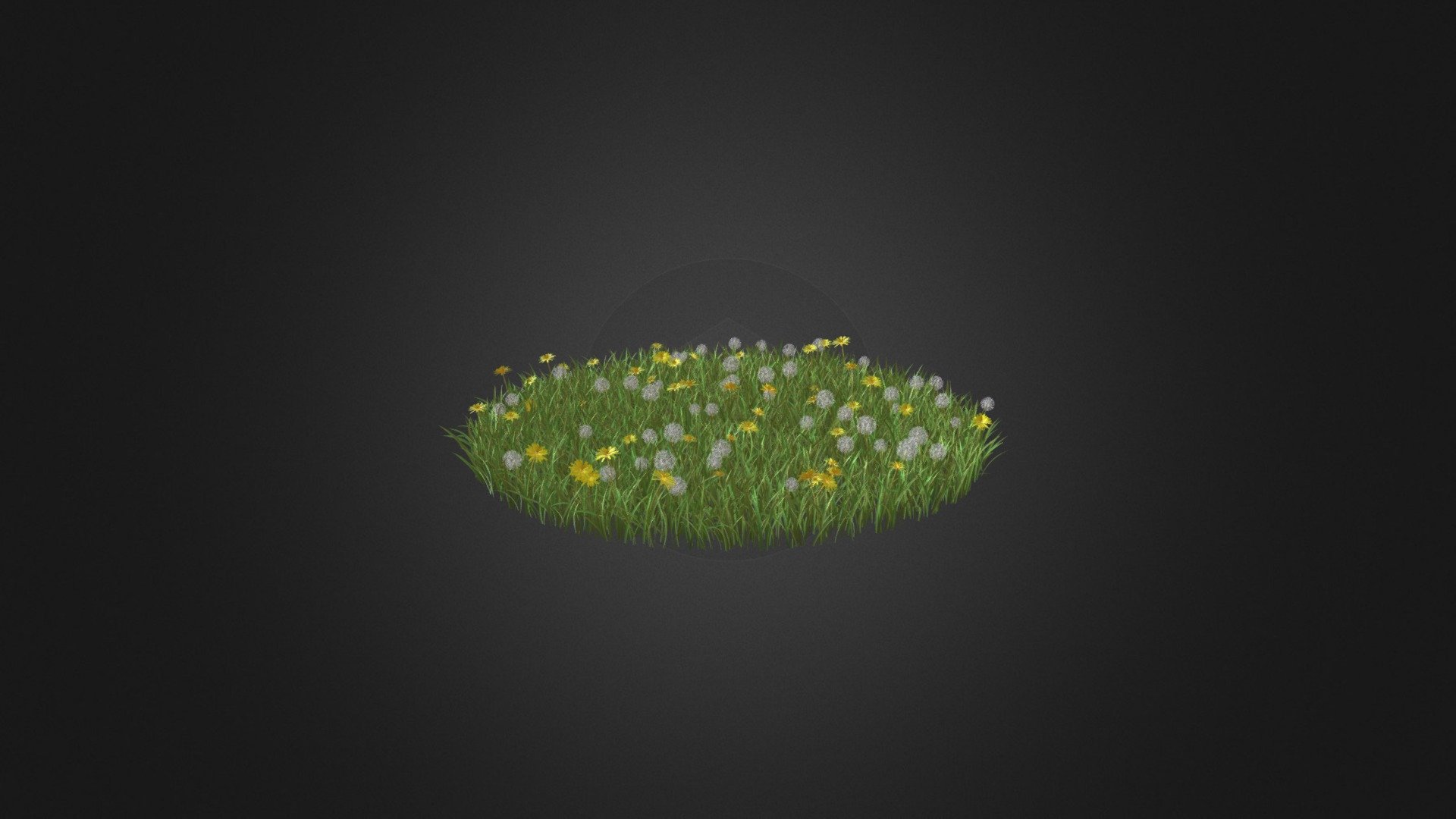 Round grass with some sow-thistle (Sonchus) flowers 3d model. Diameter:160cm. Compatible with 3ds max 2010 or higher, Cinema 4D and many more 3d model