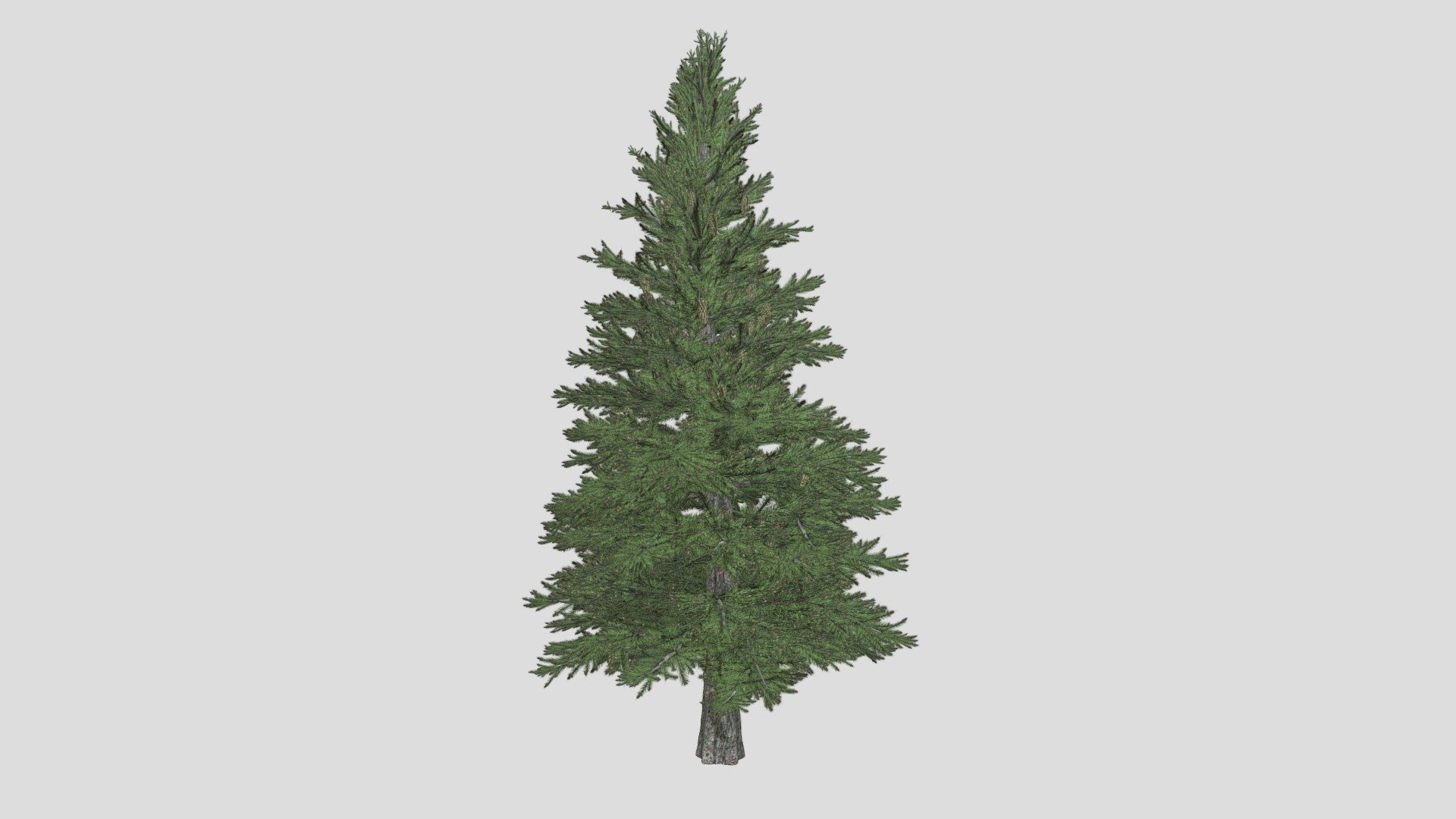 Features:


Vray &amp; Corona Render Engine Ready
OBJ &amp; Max Format
3DS Max 2015
Optimized
Clean Topology
Up to 99% Quad
Unwrapped Overlapping
Real-World Scale
Transformed into zero
Grouped
Objects Named
Materials Named
Up to 4K Textures map
 - Norway Spruce Tree - Buy Royalty Free 3D model by DATEC_Studio 3d model