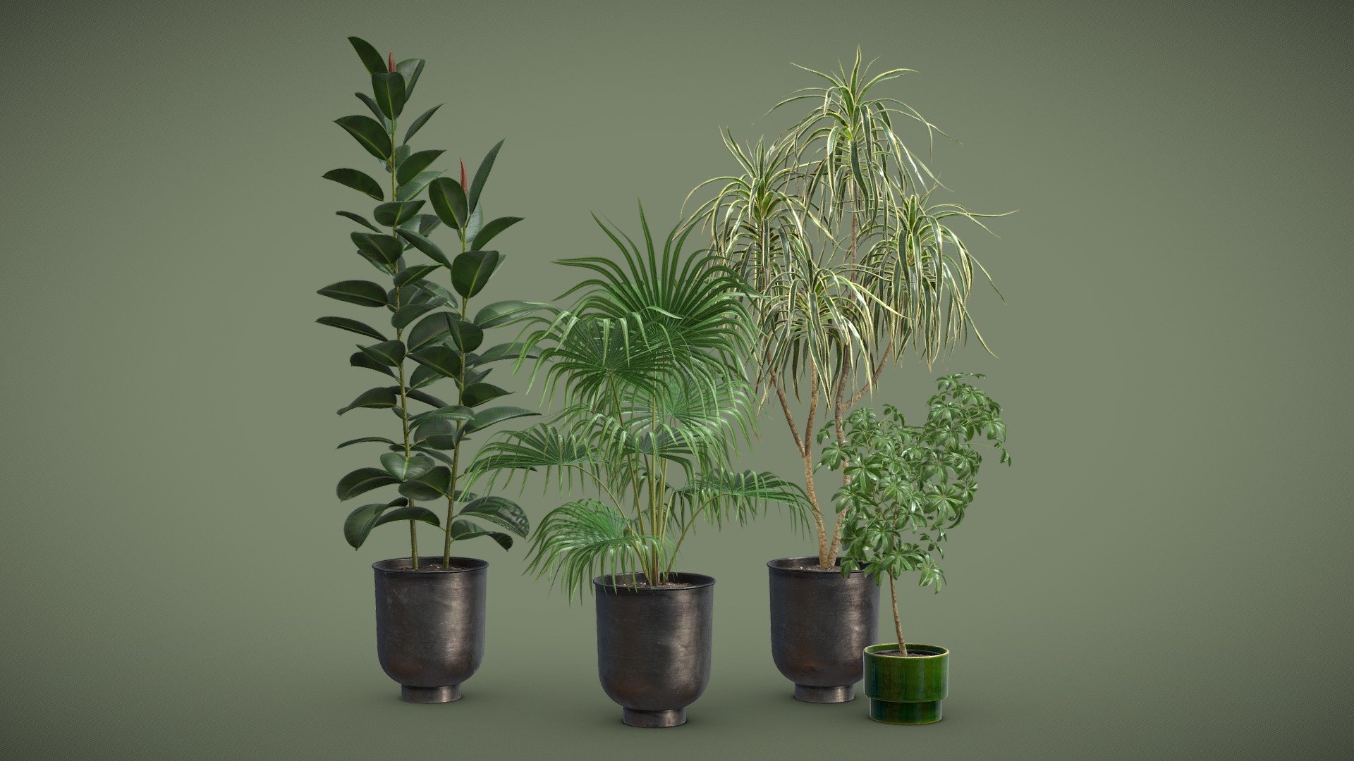 Indoor Plants Pack 52

This selection of indoor exotic plants will provide a level of detail that will take your visualizations to the next level.

Models can be subdivided for more definition.




Schefflera

Ficus Elastica - Rubber tree

Livistona Chinensis - Chinese Fan Palm

Dracaena Variegata

4k Textures




Vertices  122 591

Polygons  93 181

Triangles 183 882
 - Indoor Plants Pack 52 - Buy Royalty Free 3D model by AllQuad 3d model