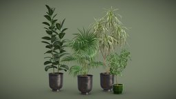 Indoor Plants Pack 52