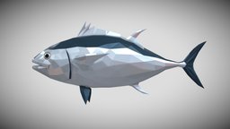 [Low Poly] Tuna fish, fishing, ocean, tuna, animals-cute, blender, lowpoly, low, poly, animal, animation, animated, rigged, sea