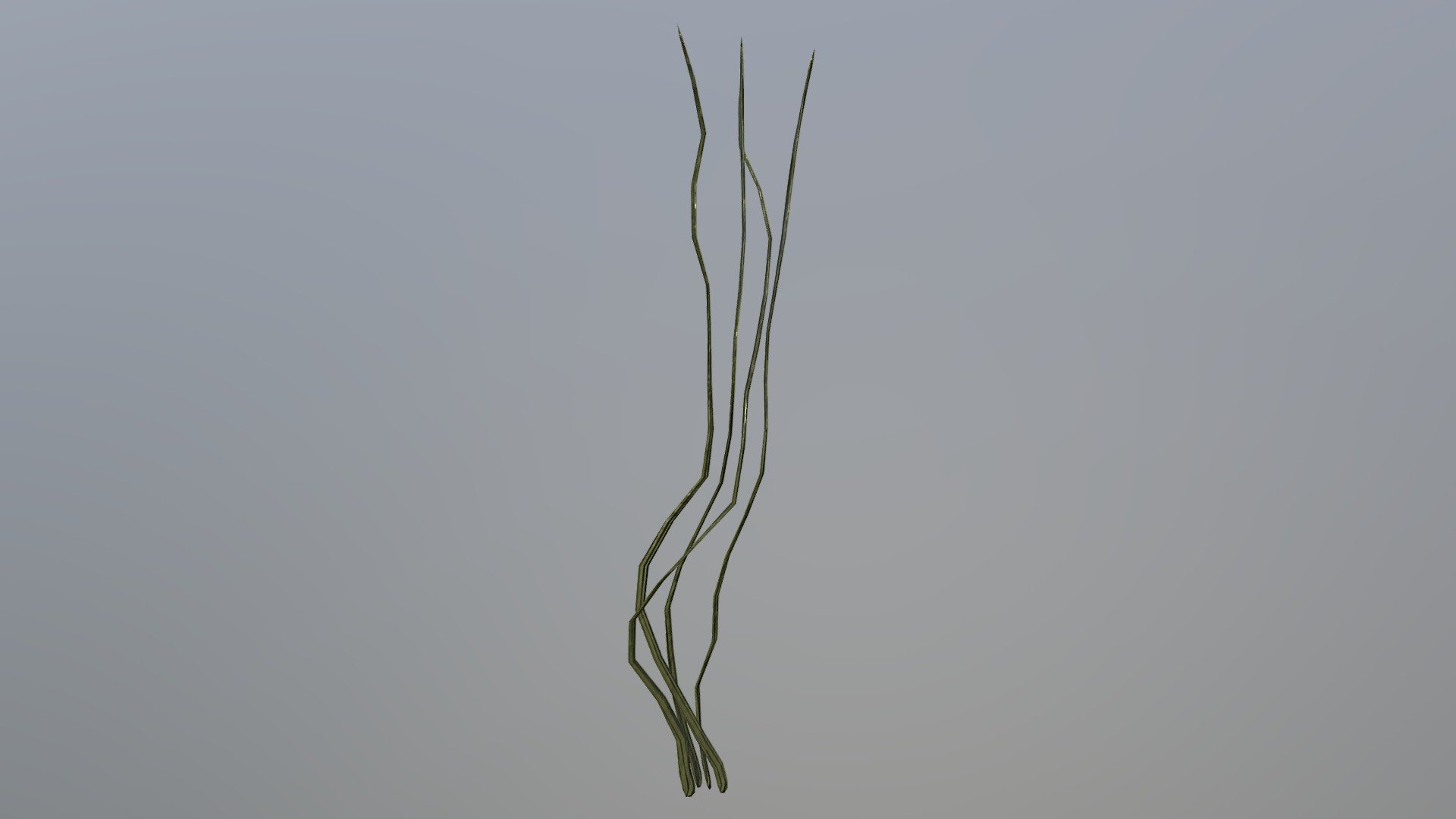 Seaweed 2 - 3D model by JenniferF (@Jennifac) 3d model