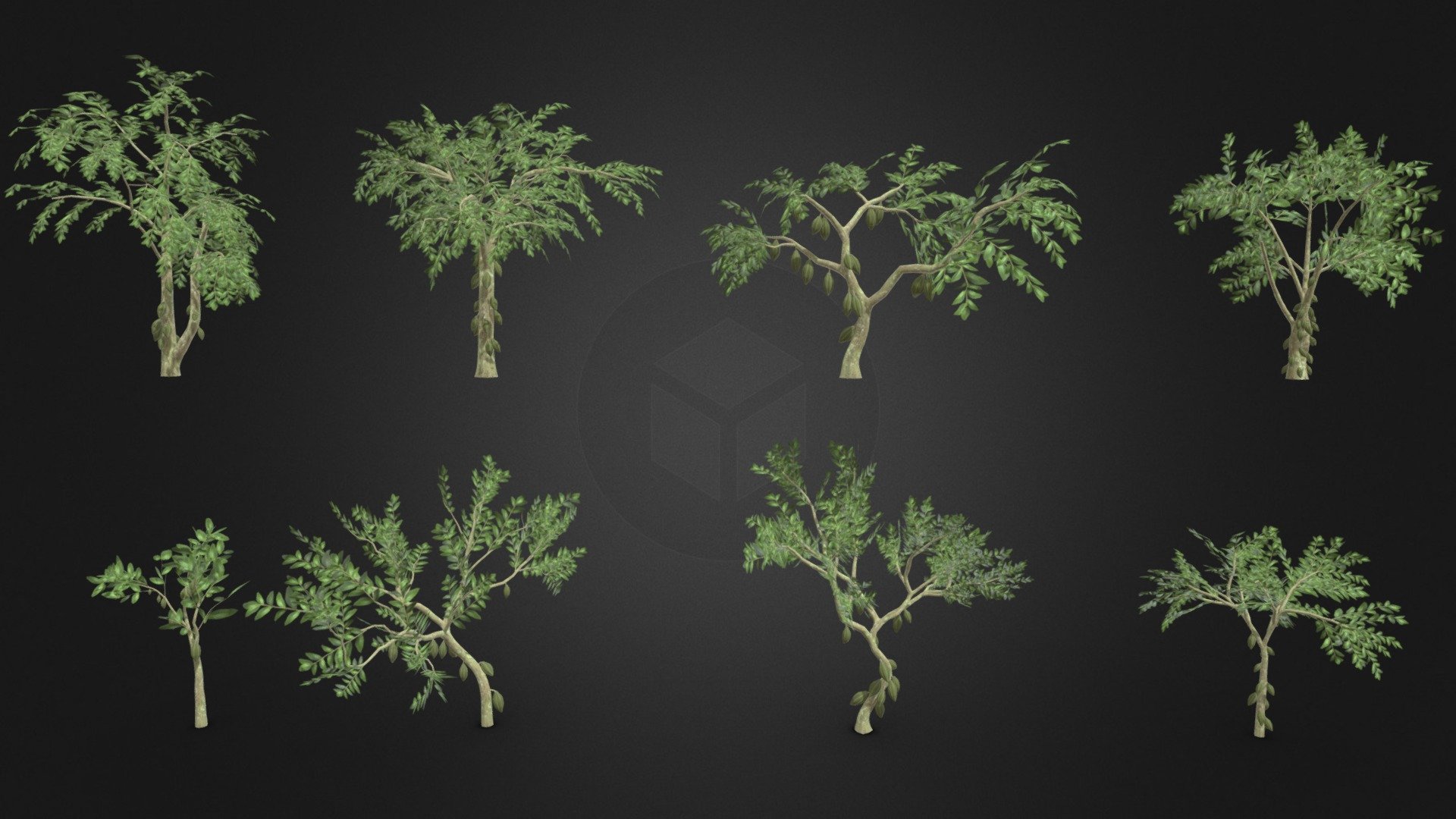 This is a 3D low poly model of a Cacao tree pack. This pack contains 4 models that you can use in your projects.

Info:

Theobroma cacao is a small evergreen tree in the family Malvaceae. Its seeds, cocoa beans, are used to make chocolate liquor, cocoa solids, cocoa butter, and chocolate. Native to the tropics of the Americas, the largest producer of cocoa beans in 2018 was Ivory Coast, at 2.2 million tons 3d model