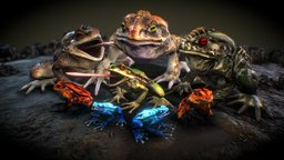 Frogs pack turtle, frog, unreal, unity, unity3d, game