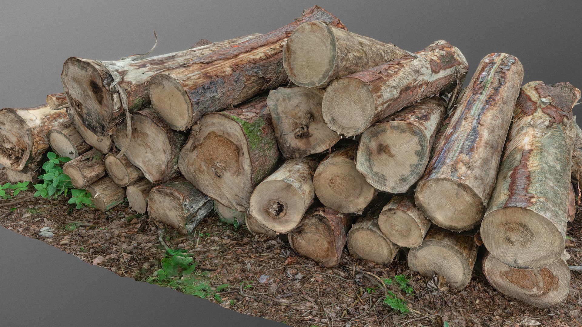Cut trees pine spruce logs stack pile heap in forest, trunks logging stacked pile, wood lumber industry megascan

photogrammetry scan (24MP x 250photos), 3x16K texture + HD normals - Log pile - Download Free 3D model by matousekfoto 3d model