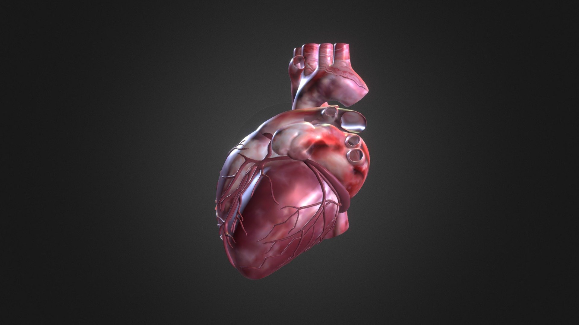 Animation 3d Heart - Heart - Cuore - Buy Royalty Free 3D model by antoniorafanelli 3d model