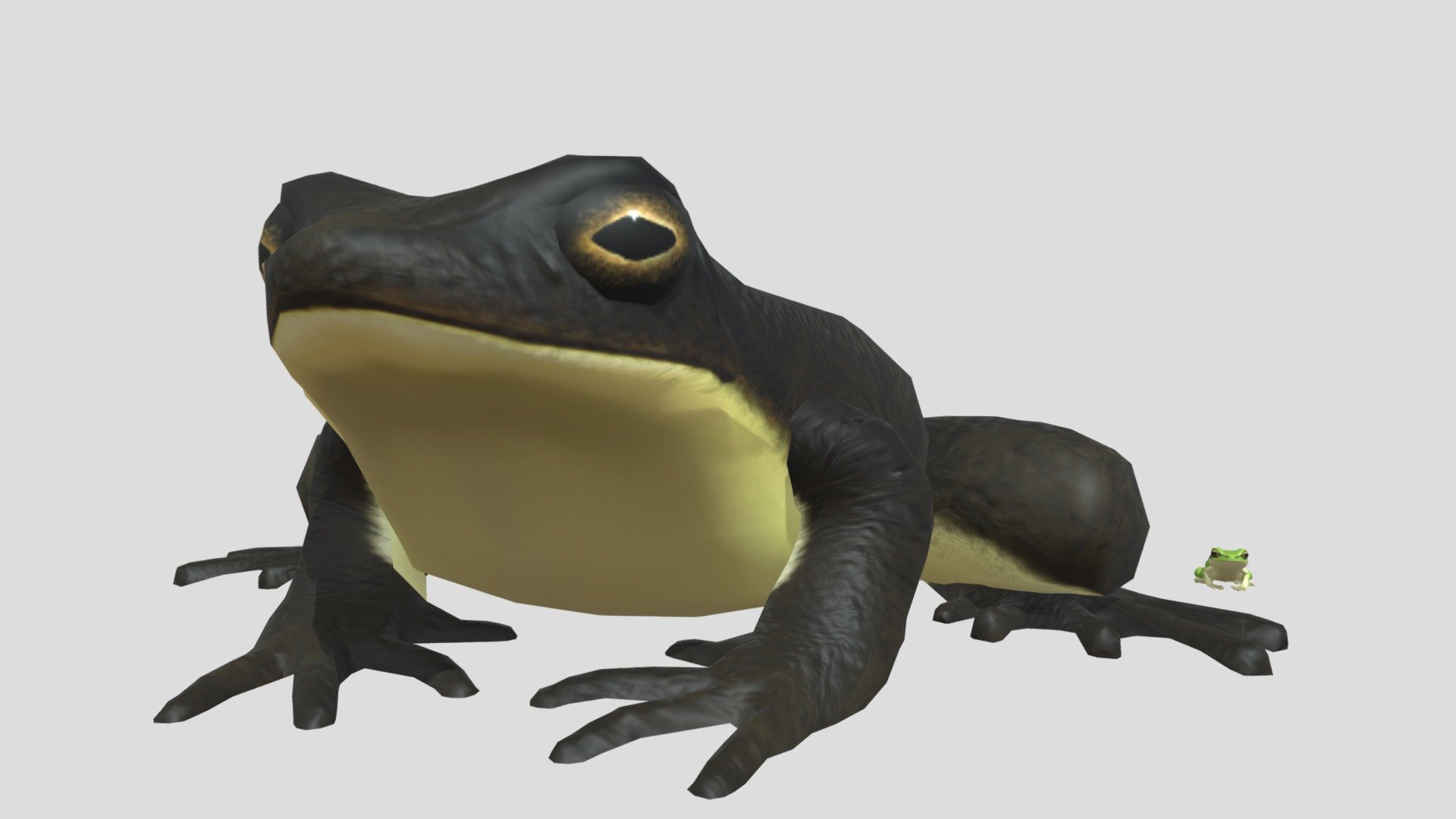 和 ゴライアスガエル/ゴリアテガエル / 英 Goliath frog / 学 Conraua goliath - Goliath frog - 3D model by Mozukui (@redfrogman) 3d model