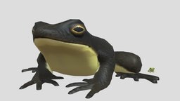 Goliath frog frog, low-poly, goliathfrog