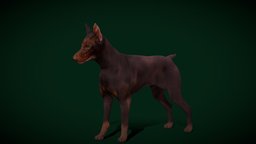 Dobermann Pinscher Dog Breed (Game Ready)