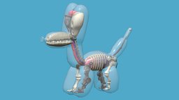 Balloon Dog skeleton, dog, toy, balloon, mechanical, mecha, skeletal, robot, jasonfreeny