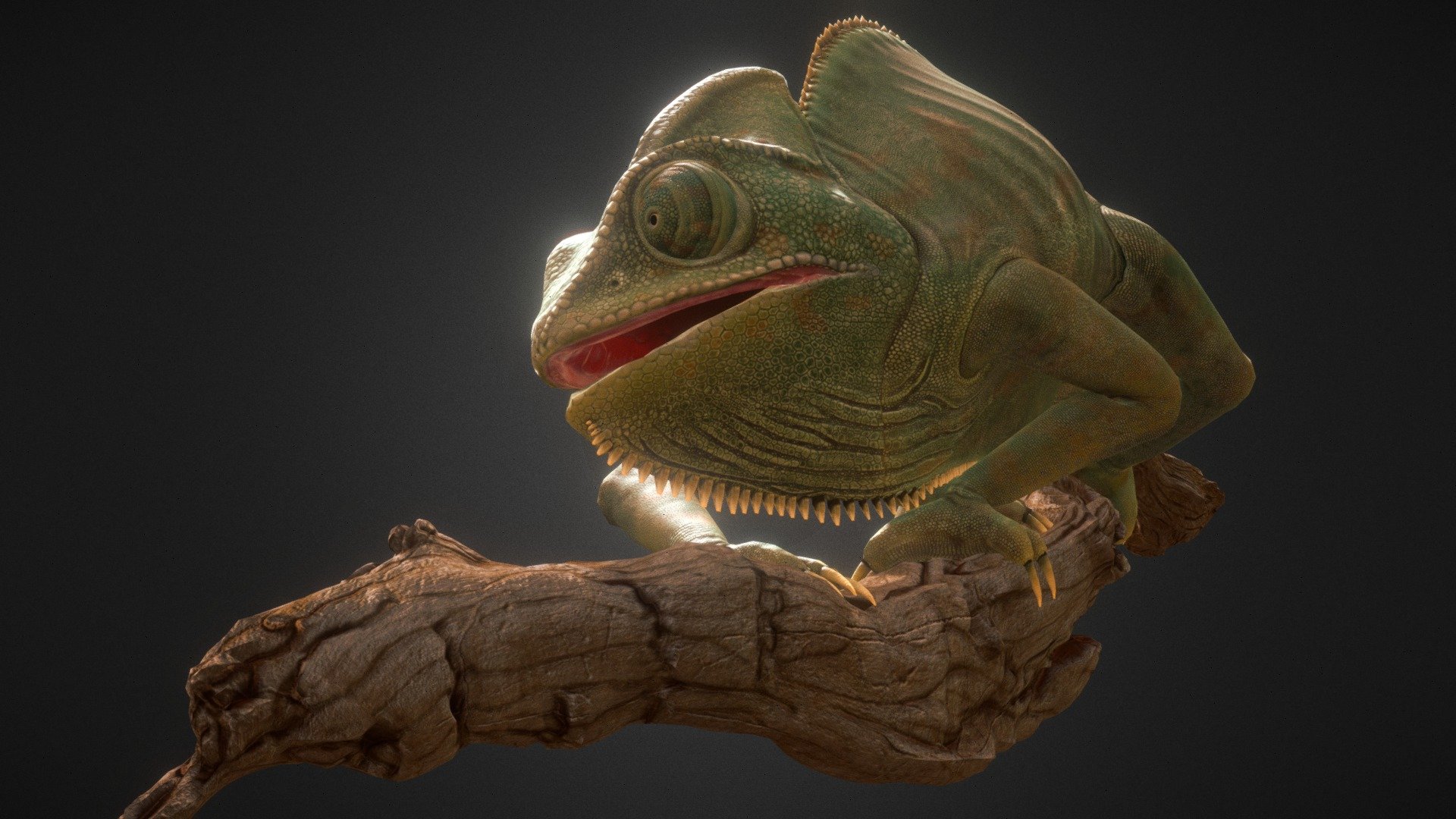 Veiled Chameleon - 3D model by hiro_1217 3d model