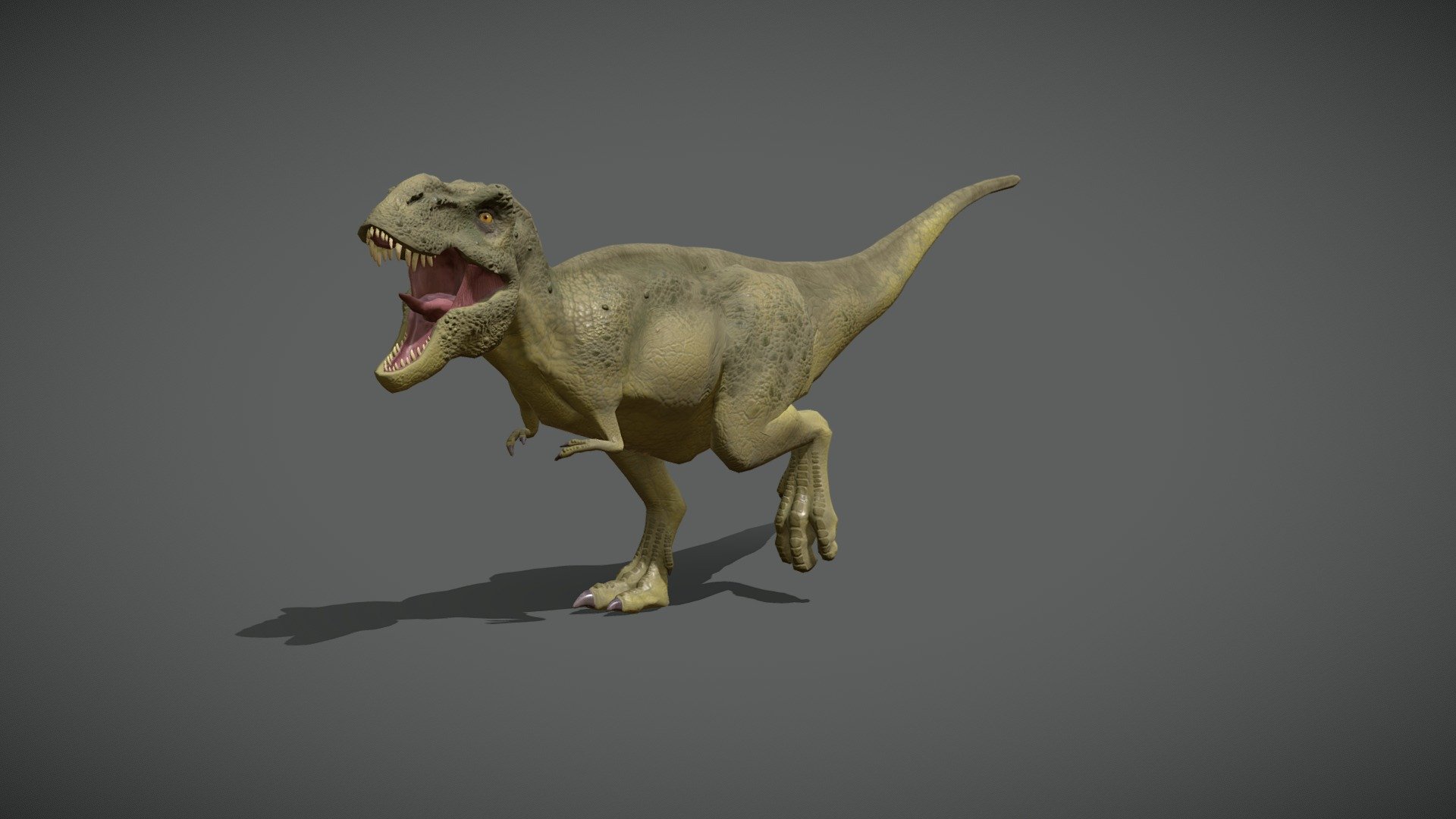New version:
https://skfb.ly/o7wRz

Youtube:
https://youtu.be/oBqVekHnsXA

This model has a clean geometry based on quads and loops. It is FULLY RIGGED. (Ready to render exactly as you see above)




eyes, tongue and teeth are included and modeled separately.
T-rex model has: 4096x4096 textures (normal, color, ambient occlusion, roughness)

Originally created with Blender 2.9

Objects are named
Send me messages if you have questions! I will happy to answer it!!! - Tyrannosaurus Rex 1.0 - Buy Royalty Free 3D model by 3dartstevenz 3d model