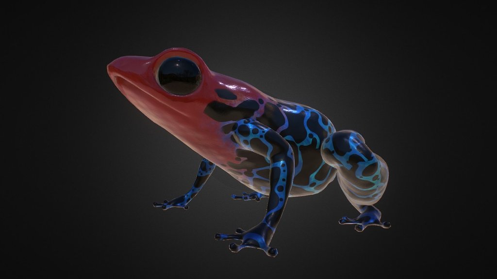 Sculpted in Zbrush, Textured in Substance Painter - Poison Dart Frog 01 - 3D model by bshields 3d model