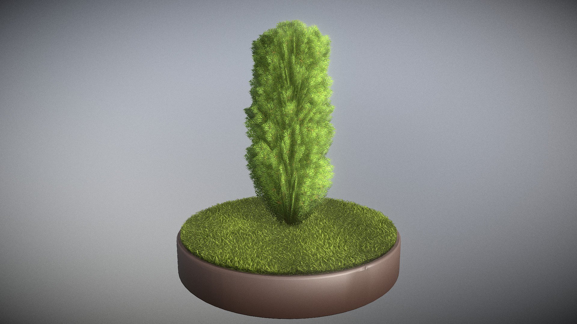 Here is a 2 meter high cypress for your garden scene or house visualization project.





Textures(4k):


Color map
Mask texture for the transparency
Normal map


Here on Sketchfab you can view or purchase some of our 3d-models which we are using in our projects for VIS-All.

The models was created by 3DHaupt for the Software-Service John GmbH.

3D-Model was modelled and textured in blender.
 - Cypress - Version 8 - 2 Meter - Buy Royalty Free 3D model by VIS-All-3D (@VIS-All) 3d model