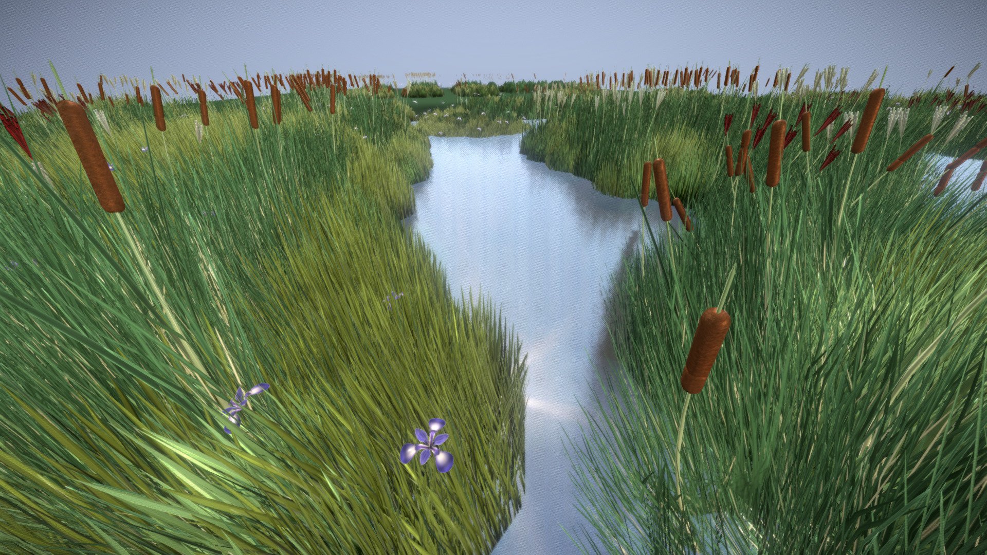 Here is a the final 3d-reeds package with 117 components. 



I created a little test-lake with reeds to see how it looks and to find the right polycount.















 - Reeds Done - Buy Royalty Free 3D model by VIS-All-3D (@VIS-All) 3d model