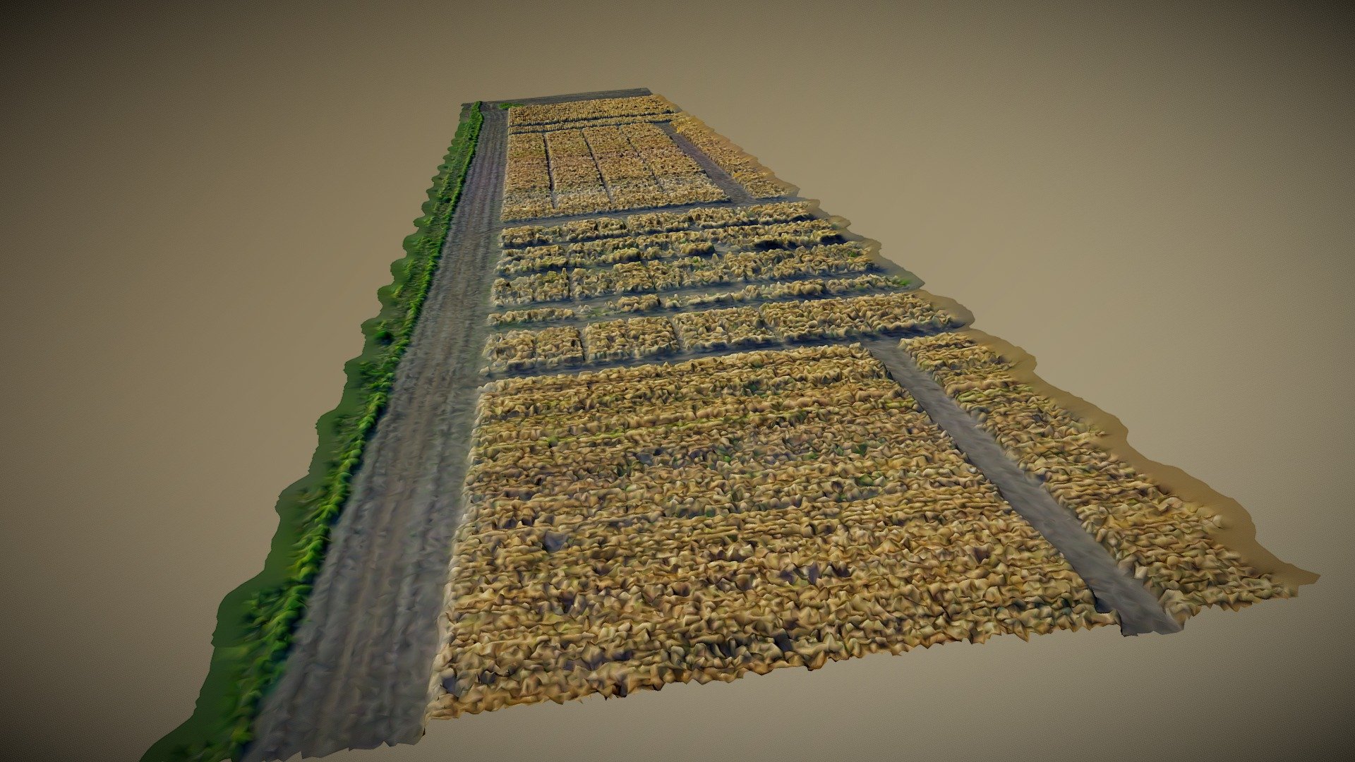This model was generated by capturing a series of photo with drone over agricultural test field 3d model