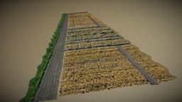Test model of corn field field, photoscanning, agriculture, dronemapping, dronephotogrammetry