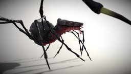 Spiderthing take 3 insect, spider, arachnoid, lowpoly, creature, free, monster, gamemodel, animated, fantasy, horror