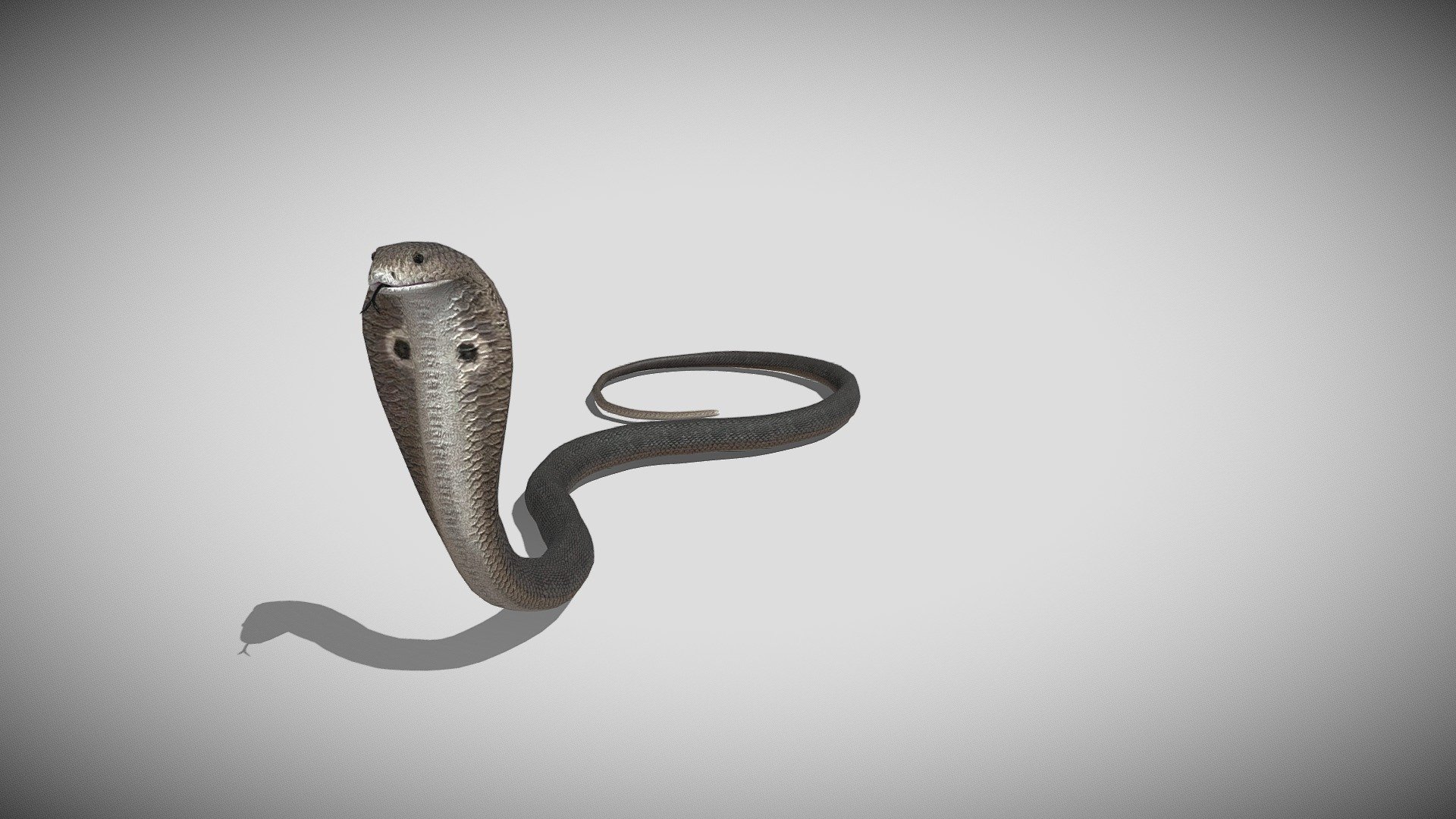 This is a 3d Cobra snake with PBR textures and 22 different animations, with most of the animations you might need in a game. Efficiently made with only 5213 triangles 3d model