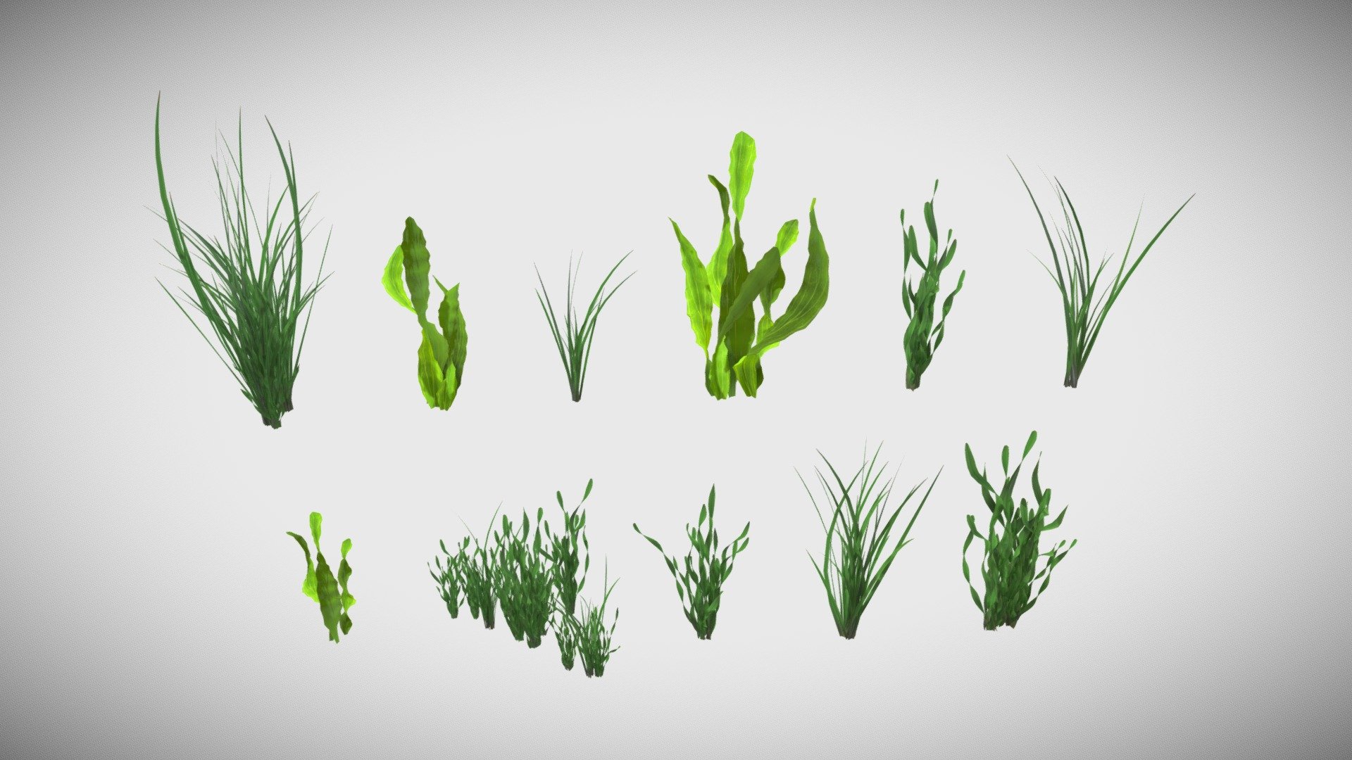 Underwater Grass Pack.PBR Materials. Ready for Games 3d model