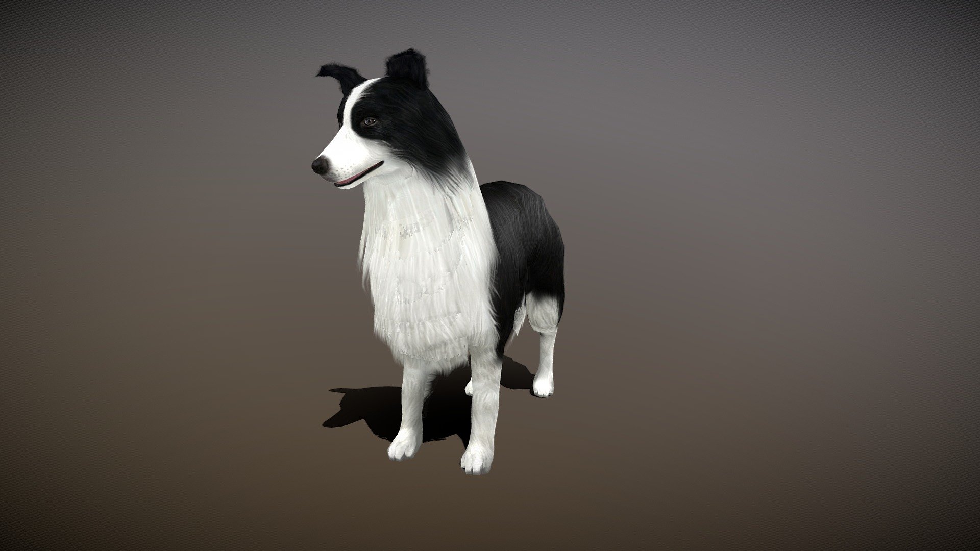 Watch =
Sheep Dog 3d Model

PACKAGE INCLUDE

High quality polygonal model, correctly scaled for an accurate representation of the original object
Model is built to real-world scale
Many different format like blender, fbx, obj, iclone, dae
3d print ready
Ready for animation
Loopable seperate Animation
High Quality materials and textures
Triangles = 3872
Vertices = 2265
Edges = 6109
Faces = 3872

ANIMATIONS

Idle
Walk
Walk Fast
Run
Eat
Bark
+Many different 3d Print Poses

NOTE

GIVE CREDIT BILAL CREATION PRODUCTION
SUBSCRIBE YOUTUBE CHANNEL = https://www.youtube.com/BilalCreation/playlists
FOLLOW OUR STORE = https://sketchfab.com/bilalcreation/models
LIKE AND GIVE FEEDBACK ON THE MODEL

CONTACT US                 =  https://sites.google.com/view/bilalcreation/contact-us
ORDER  DONATION   =  https://sites.google.com/view/bilalcreation/order - Sheep Dog Animated - Buy Royalty Free 3D model by Bilal Creation Production (@bilalcreation) 3d model