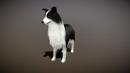 Sheep Dog Animated dog, white, pet, furniture, doggy, nature, howl, shepherd, husky, woof, rottweiler, sheepdog, animal, black, petdog, furdog