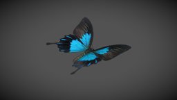 Ulysses Butterfly insect, bug, animals, ulysses, butterfly, vr, bugs, insects, butterflies, lepidoptera, blender, animal, animated, blue