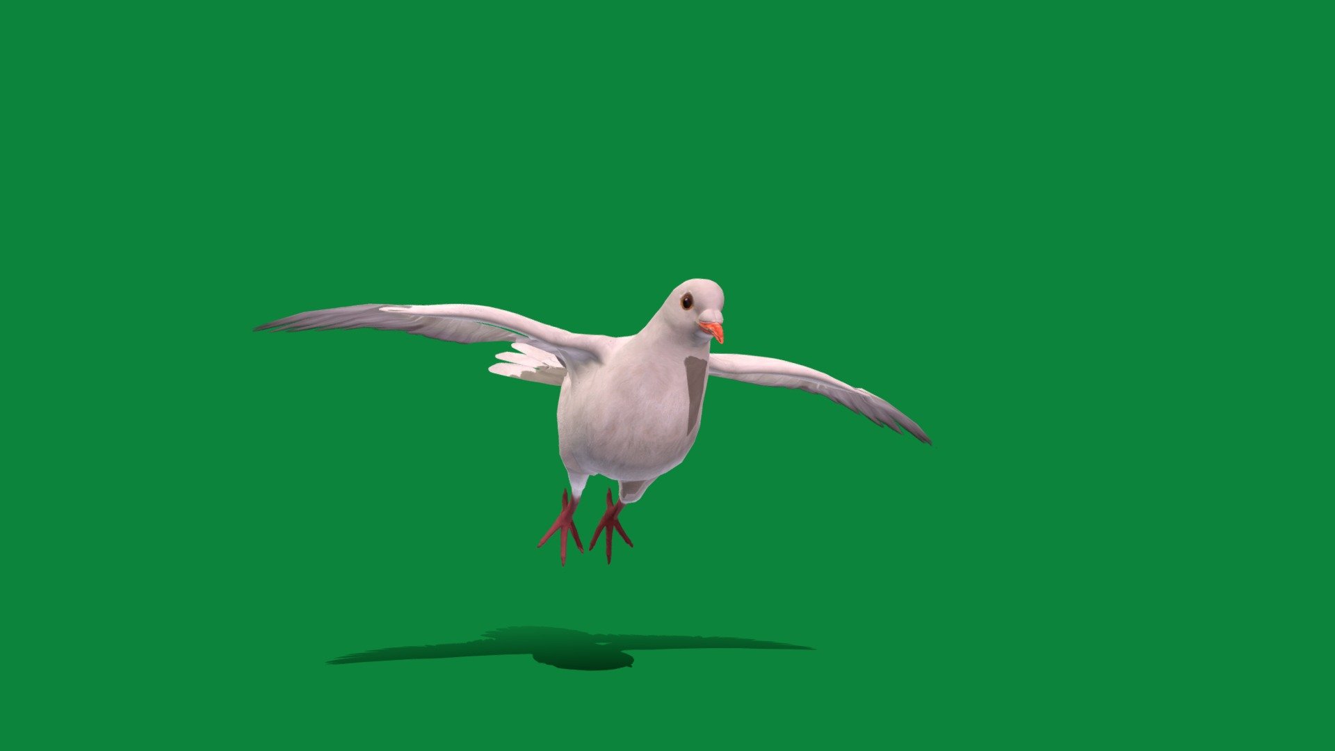 White-winged Dove Bird (Columbidae)Mourning Dove,United States,Caribbean

Zenaida asiatica Animal Bird(White Bird )Pet,Cute

1 Draw Calls

LowPoly

Game Ready (Character)

Subdivision Surface Ready

5 Animations 

4K PBR Textures 1 Material

Unreal/Unity FBX 

Blend File 3.6.5 LTS / 4 Plus

USDZ File (AR Ready). Real Scale Dimension (Xcode ,Reality Composer, Keynote Ready)

Textures Files

GLB File (Unreal 5.1 Plus Native Support,Godot)

Gltf File (Spark AR, Lens Studio(SnapChat),Effector(Tiktok),Spline,Play Canvas,Omiverse)Compatible

Alembic File (ABC)

Triangles -9336

Faces -5167

Edges -10837

Vertices -5694

Diffuse, Metallic, Roughness , Normal Map ,Specular Map,AO

The white-winged dove is a dove whose native range extends from the Southwestern United States through Mexico,Central America, the Caribbean.Large for doves,can be distinguished from similar doves by the distinctive white edge on their wings.They have a blue eyering,  red eyes 3d model