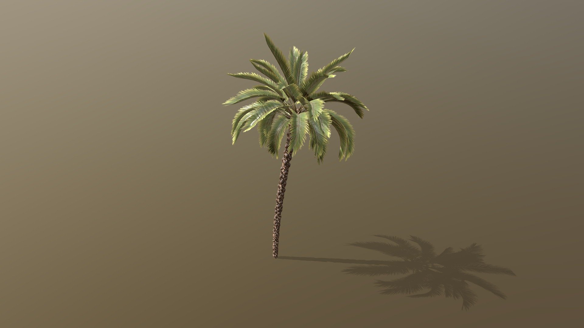Date palm made in treeit 3d model