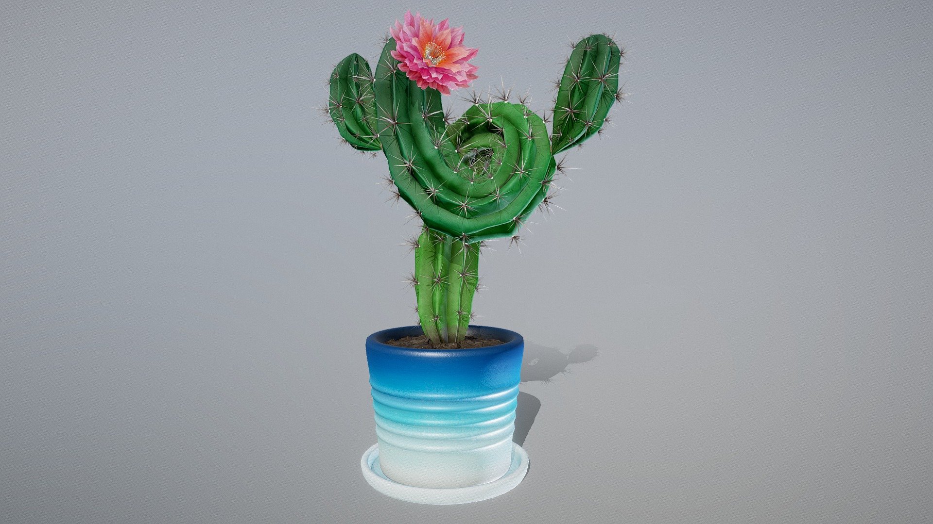 Twisty Cactus - Buy Royalty Free 3D model by AdomasMockus 3d model