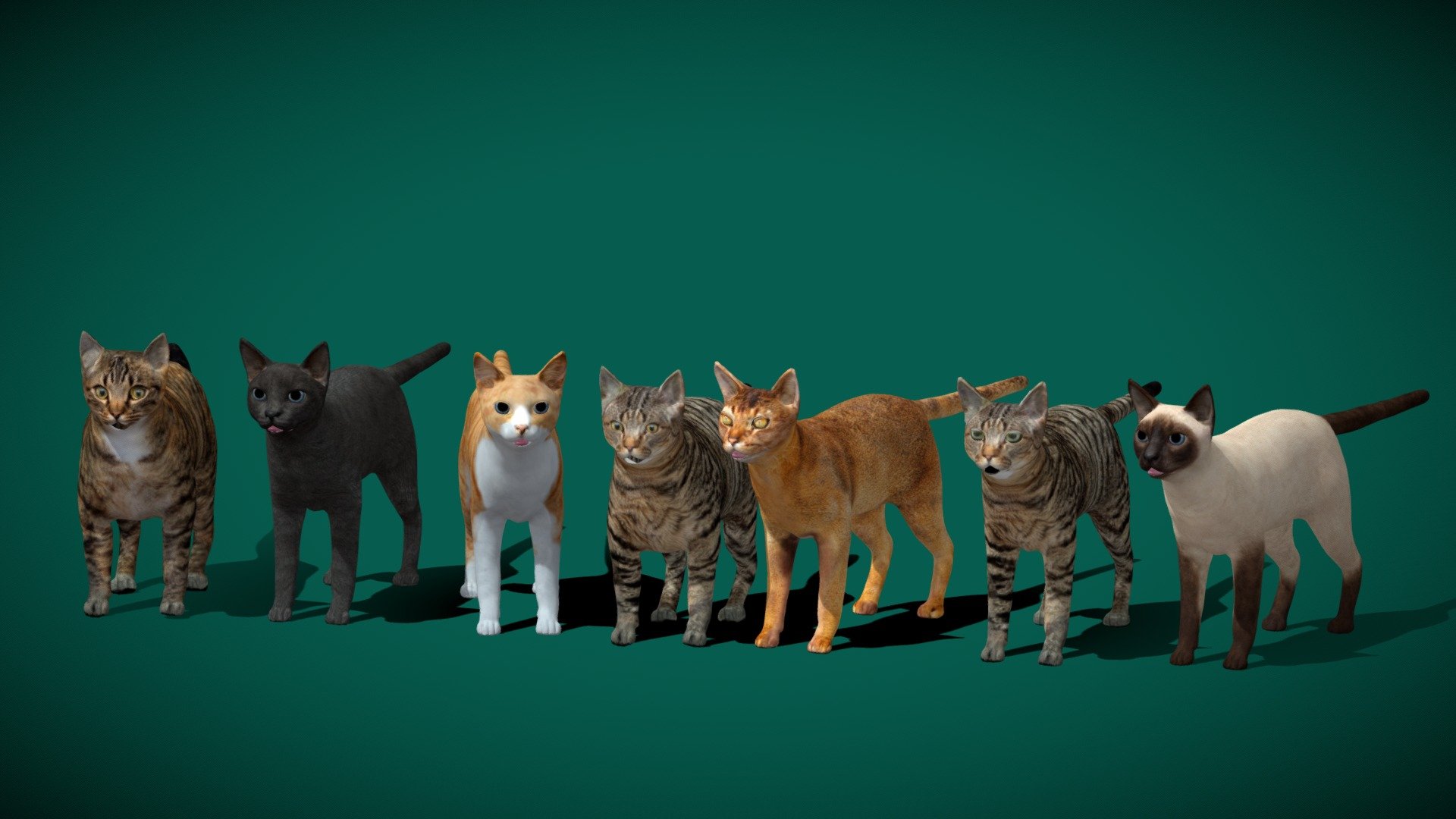 Cat Bundle Assets Test  .
For Display Purpose Only with 4 K PBR Texture for 7 Different Cats .
Original file with Bone /Riggs Default Idle animations ,

The cat is a domestic species of small carnivorous mammal. It is the only domesticated species in the family Felidae and is commonly referred to as the domestic cat or house cat to distinguish it from the wild members of the family. Wikipedia
Lifespan: 12 – 18 years (Domesticated)
Gestation period: 65 days
Scientific name: Felis catus
Length: 46 cm (Without Tail)
Mass: 4 – 5 kg (Adult, Domestic)
Domain: Eukaryota - Domestic Cat 🙀 - 3D model by Nyilonelycompany 3d model