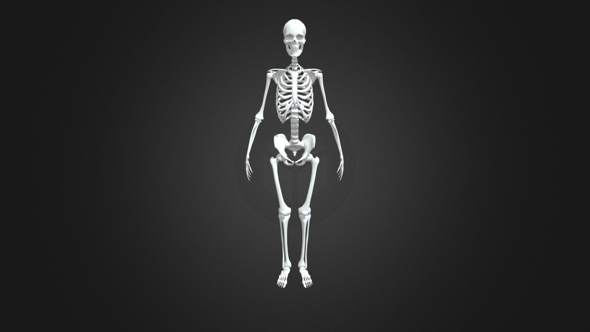 Game ready skeleton model rigged and animated on mixamo 3d model