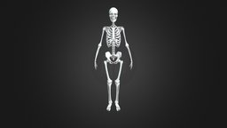 Dancing Skeleton skeleton, creatures, haloween, animation, fantasy